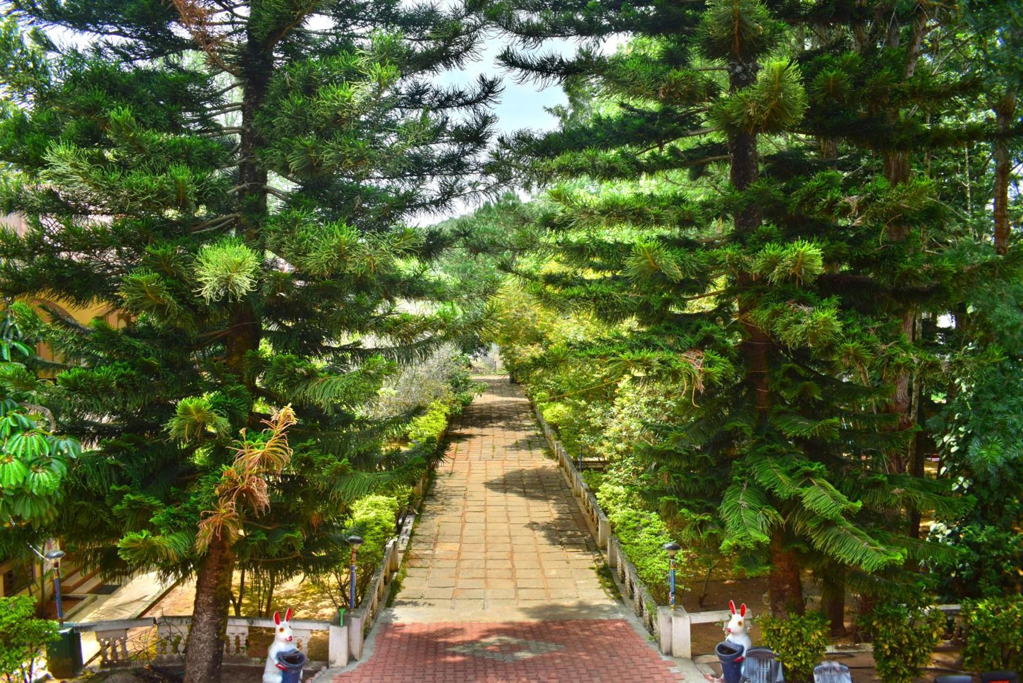 Jains Royal Palace Resorts Yelagiri Dış mekan fotoğraf